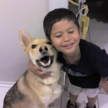 A photo of a boy smiling with eyes closed, hugging a small yellow husky dog 